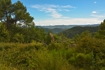 Obraz premium Naturlandschaft Ardeche