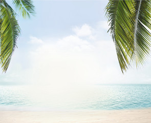 Fototapeta na wymiar summer beach tropical palm leaves and sunny blue sky