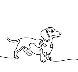 Continuous line drawing. Dog dachshund running. Vector illustration