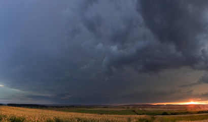 Wheat field in the sunset with a thunderstorm
