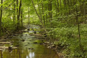 Fototapeta na wymiar Slippery Rock Creek, McConnell's Mill State Park, Pennsylvania, USA