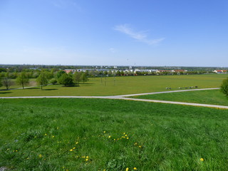 Obraz premium saftige Wiese