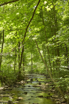 Slippery Rock Creek, McConnell's Mill State Park, Pennsylvania, USA