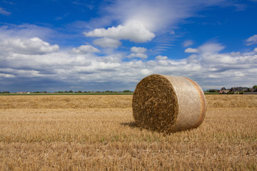 Strohballen nach der Ernte in einer ländlichen Gegend 