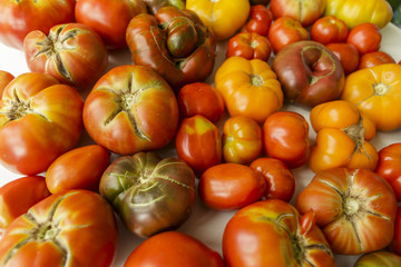 Several different fresh organic tomatoes
