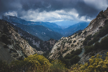 Canyon in Angeles National Forest