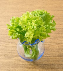 Green Lettuce Leaves in A Small Glass Vase