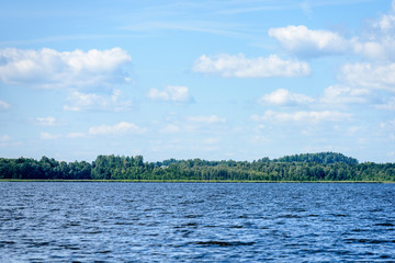 overcast day by the lake with water grass