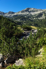 Amazing landscape of Mountain river, Pirin Mountain, Bulgaria