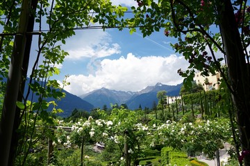 Berg- und Gartenlandschaft in Südtirol / Meran im Frühling