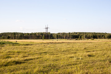 field