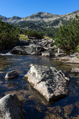 Amazing landscape of Mountain river, Pirin Mountain, Bulgaria