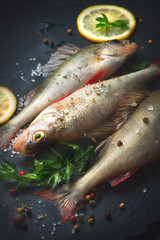 Fresh fish with aromatic herbs, spices, salt. Raw perches on dark slate tray