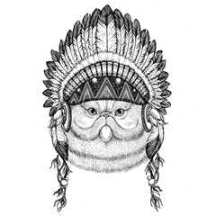 Portrait of fluffy persian cat Wild animal wearing indian hat Headdress with feathers Boho ethnic image Tribal illustraton