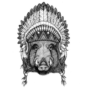 Aper, boar, hog, hog, wild boar Wild animal wearing indian hat Headdress with feathers Boho ethnic image Tribal illustraton
