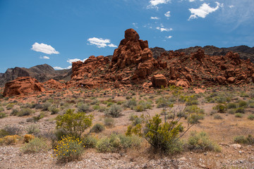 Fototapeta premium Aztec Sandstone Rock Formation in Valley of Fire State Park