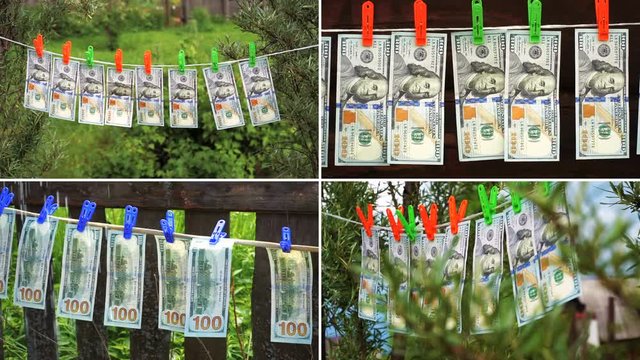 Hundred dollar bills hang and dry on a rope against the background of green bushes in the garden. Montage, collage split screen.