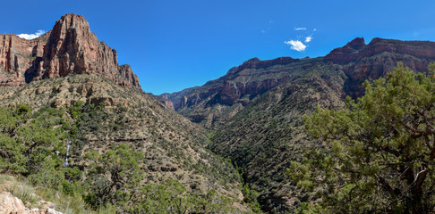 Fototapeta na wymiar panoramic view of Roaring Springs Canyon meeting Bright Angel Canyon from North Kaibab trail North Rim, Grand Canyon National Park, Arizona, USA 