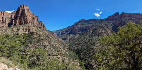 panoramic view of Roaring Springs Canyon meeting Bright Angel Canyon from North Kaibab trail
North Rim, Grand Canyon National Park, Arizona, USA 