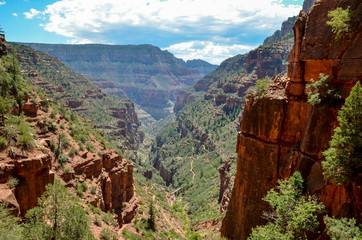 Fototapeta na wymiar North Kaibab trail at the botttom of bottom of Roaring Springs canyon North Rim, Grand Canyon National Park, Arizona, USA 