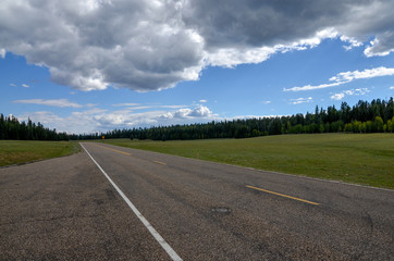 Grand Canyon Highway (Az-67 route) route passing subalpine grasslands and forests on Kaibab plateau
North Rim, Grand Canyon National Park, Cococino County, Arizona, USA 