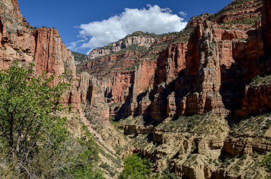 red limestone walls of Roaring Springs Canyon
North Rim, Grand Canyon National Park, Arizona, USA 