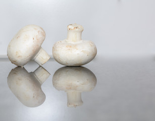 Spitze isoliert mit Spiegelung - Champignon