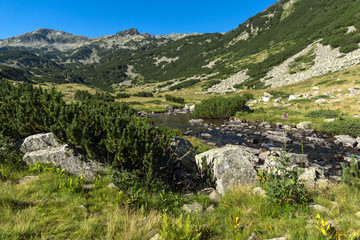 Fototapeta na wymiar Landscape with clear water of Mountain river, Pirin Mountain, Bulgaria