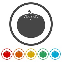 Tomato icons set. Isolated vegetables 