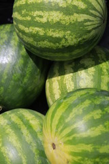 Watermelon in a bin at the Farmers Market