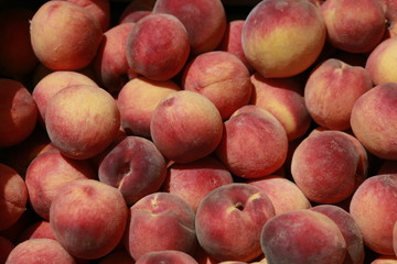 Peaches for sale at the Farmers Market