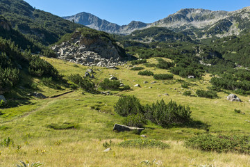 Fototapeta na wymiar Amazing Landscape with Banderishki Chukar Peak, Pirin Mountain, Bulgaria