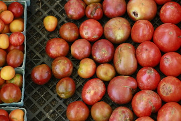 Cherry tomatoes and heirloom tomatoes in a bin at the Farmers Market