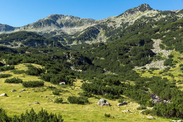 Fototapeta na wymiar Amazing Landscape with Banderishki Chukar Peak, Pirin Mountain, Bulgaria