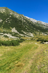 Fototapeta na wymiar Amazing Landscape with Hvoynati Peak, Pirin Mountain, Bulgaria