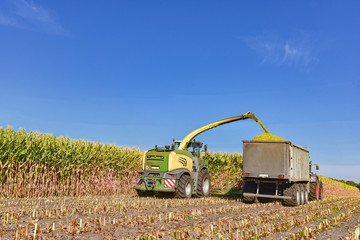 Maisernte - Landtechnik auf dem Feld im Einsatz