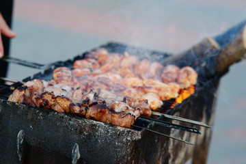 Meat being grilled in a barbecue 