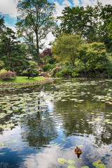 WROCLAW, POLAND - AUGUST 04, 2017: Japanese Garden is situated in the vicinity of the historical...