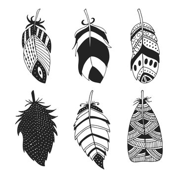 Cute hand drawn set of different feathers. Bird feather collection in doodle style. Vector illustration