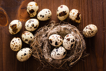 Quail eggs in nest and on a wooden table. Top view
