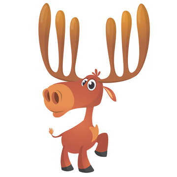 Cool carton moose. Vector illustration isolated. Poster design of sticker