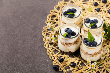 Healthy Greek Yogurt with Blueberries and Granola Parfait. Selective focus.