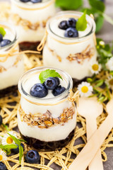 Greek Yogurt Dessert with Blueberries. Selective focus.