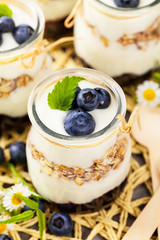 Greek Yogurt Dessert with Blueberries. Selective focus.