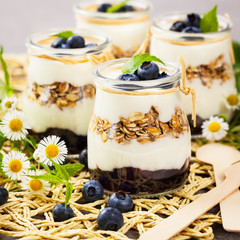 Greek Yogurt Dessert with Blueberries. Selective focus.