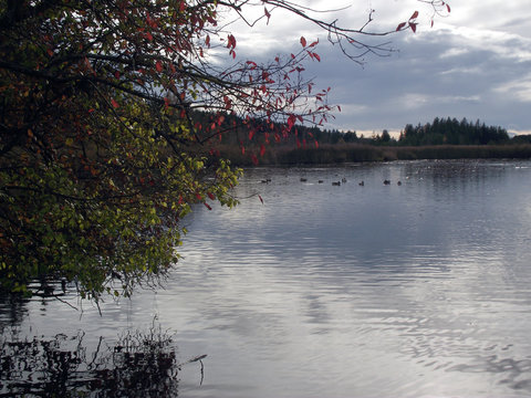 Widdersberger Weiher 
