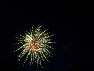 Feuerwerk golden/ rechte Seite frei