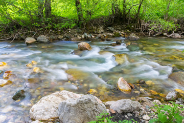 Naklejka na ściany i meble Kolasinskaya River flows through the city with a rapid flow. Montenegro, Kolasin.