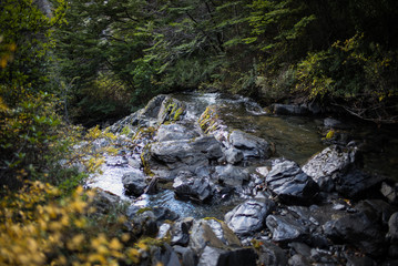 rio en la patagonia