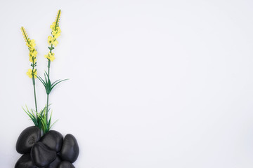 Flowers arrangement on a white background with copyspace. Spring floral concept.